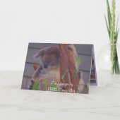 父の日だ カード (裏面)