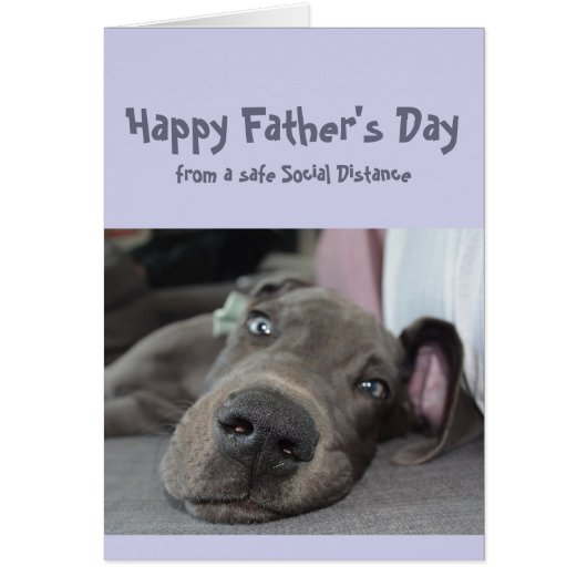 父の日のおもしろい社会的な偉大なダン犬の距離 (正面)