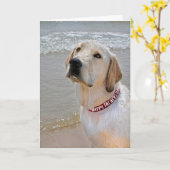 父の日のレトリバー カード (黄色い花)