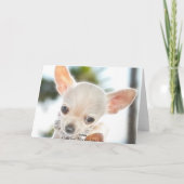 父の日をカードでスペインの表示 カード (裏面)