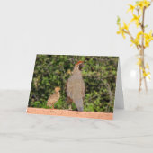 父の日ウズラ～キンバリーPチャドウィック カード (黄色い花)