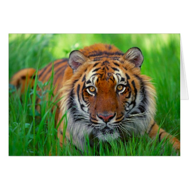 父の日 (正面横)