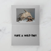 父の日 面白い ムースの角 ファン アノニムース サンキューカード (内部)