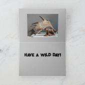 父の日 面白い ムースの角 ファン アノニムース サンキューカード (内部)