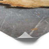 父の聖なる書物、 経典ポスター ポスター (角)