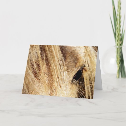 父のDAy、メシー・マネ カード (正面)