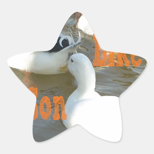 父は息子が好きだ。 星シール (正面)