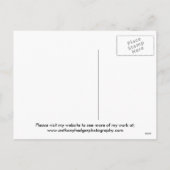 父クリスマス休暇 シーズンポストカード (裏面)