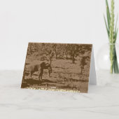 父笑わされるの日の引用文 カード (裏面)