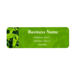 爽やかな春、サマーグリーン葉のアドレス ラベル