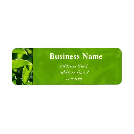 爽やかな春、サマーグリーン葉のアドレス ラベル (正面)