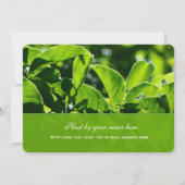 爽やかな春、夏の緑葉のパーティー 招待状 (裏面)