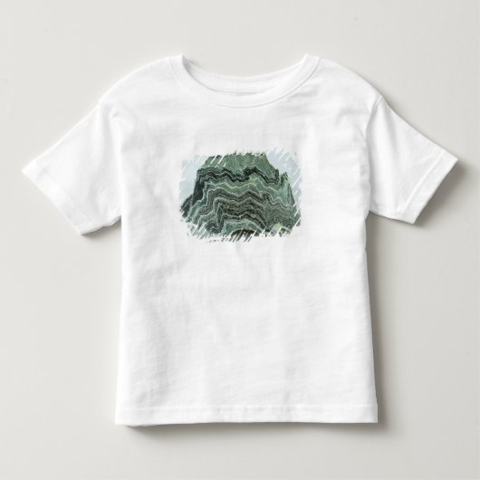 片岩の石 トドラーTシャツ (正面)