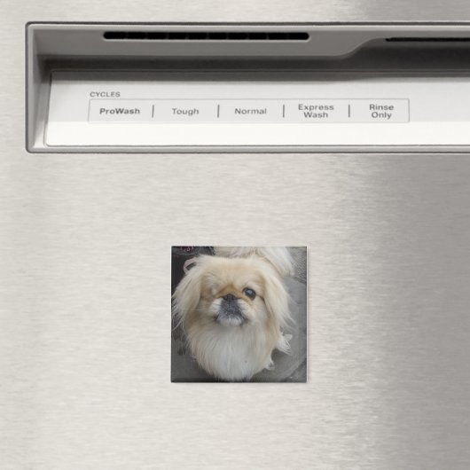 片目の犬 マグネット (インサイチュ (食洗機))