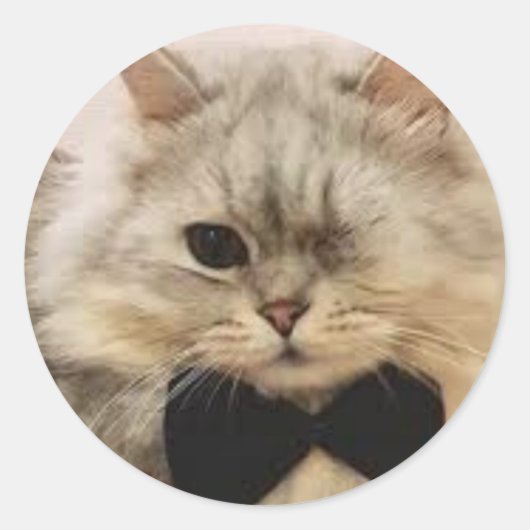 片目の猫 ラウンドシール (正面)