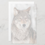 片耳の背を持つ灰色のオオカミ 便箋 (正面/裏面)