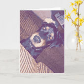 片耳を裏返しにした可愛い犬ロットワイラー カード (黄色い花)