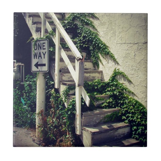 片道ツタ タイル (正面)