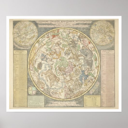 片面上皮炎。 ポスター (正面)