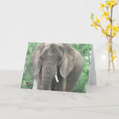 牙のあるゾウのグリーティングカード カード (黄色い花)