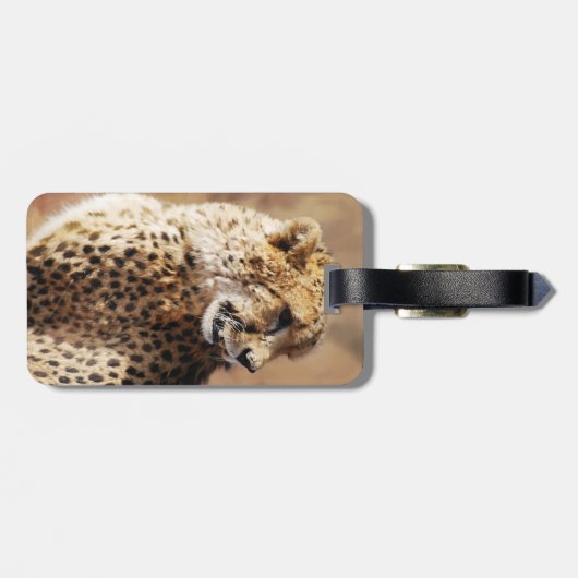 牙のあるチータ美しい ラゲッジタグ (裏面横)