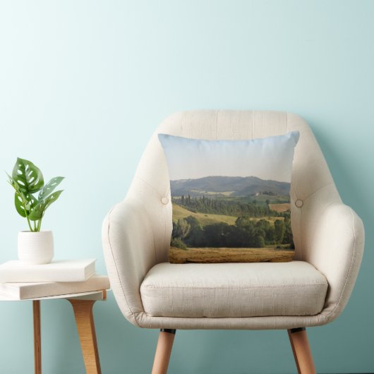 牙 クッション (椅子)