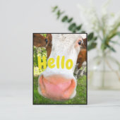 牛おもしろいこんにちは ポストカード (スタンド正面)