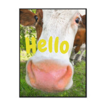 牛おもしろいこんにちは