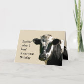 牛おもしろいのユーモア兄弟誕生日笑 カード (正面)