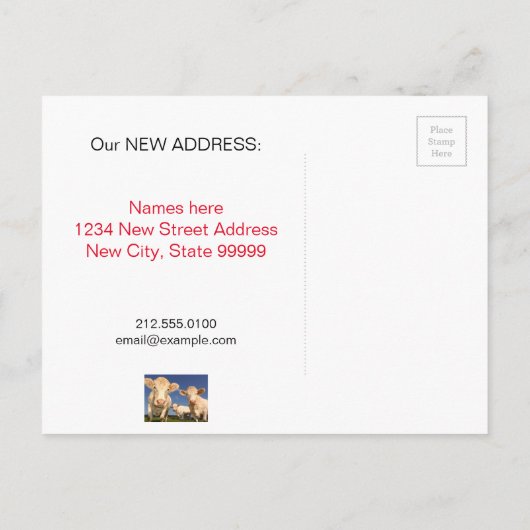 牛おもしろいの新しい住所引っ越しました 案内ポストカード (裏面)