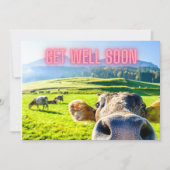 牛おもしろいはもうすぐ元気になる カード (正面)