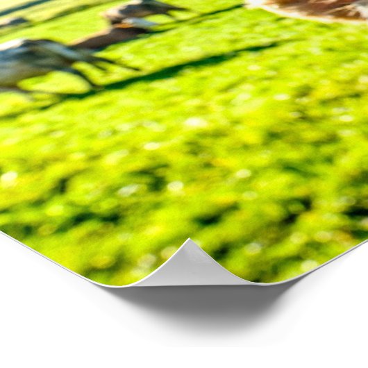 牛おもしろいはもうすぐ元気になる ポスター (角)