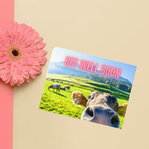 牛おもしろいはもうすぐ元気になる ポストカード