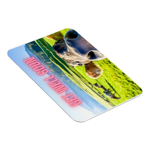 牛おもしろいはもうすぐ元気になる マグネット (右側)