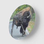 牛おもしろいバイソンが彼の睾丸をなめる ラウンド壁時計 (傾斜)