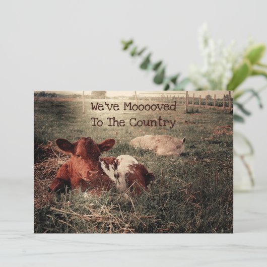 牛おもしろい国素朴農場移動 案内状 (スタンド正面)