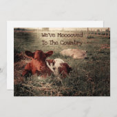 牛おもしろい国素朴農場移動 案内状 (正面/裏面)