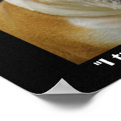 牛おもしろい犬ペット好きデモティバルポスター ポスター (角)