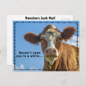 牛おもしろい眼鏡ランチャーカントリー洋話 ポストカード (正面/裏面)