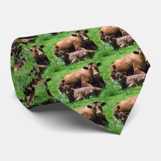 牛および子牛 ネクタイ (ロール)