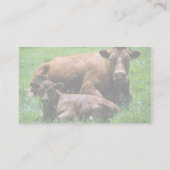 牛および子牛 名刺 (裏面)