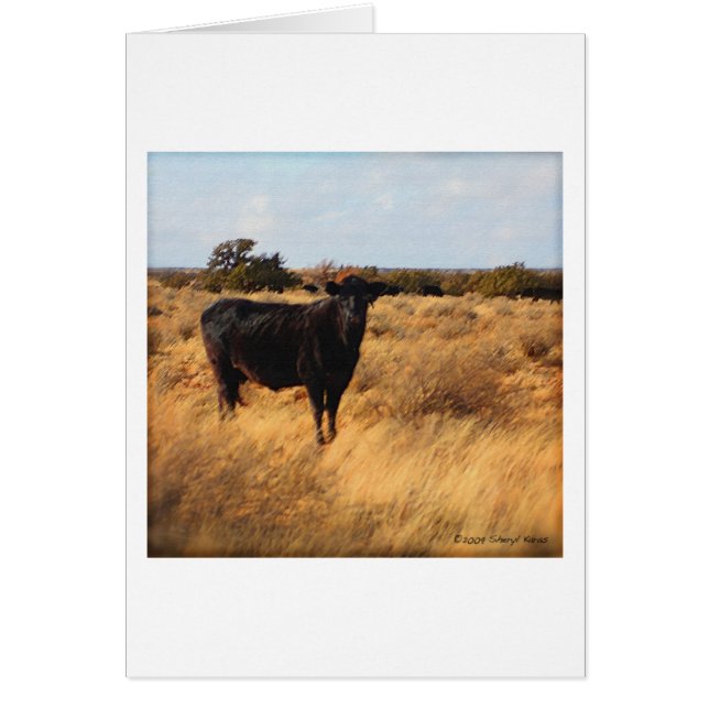 牛がレンジに入る (正面)