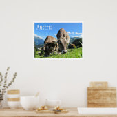 牛が山で放牧，オーストリアのアルプス ポスター (キッチン)