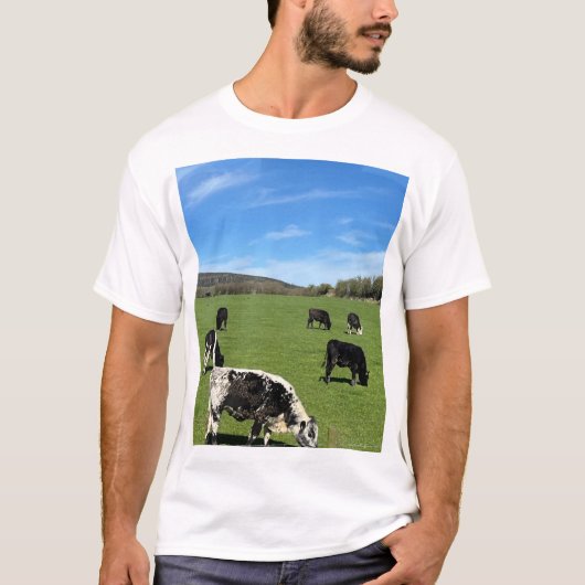 牛が緑の野で放牧 Tシャツ (正面)