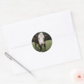 牛が舌を突き出す ラウンドシール (封筒)