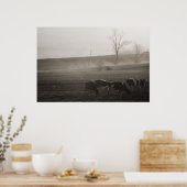 牛が霧の中にプリント ポスター (キッチン)