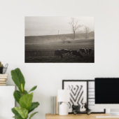 牛が霧の中にプリント ポスター (ホームオフィス)