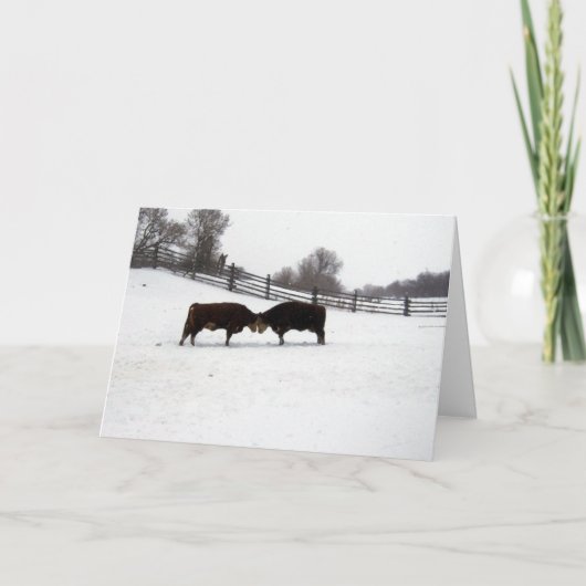 牛が頭を突き合わせる サンキューカード (正面)