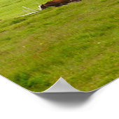 牛とエルドボルグクレーターアイスランドのポスター ポスター (角)