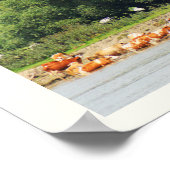 牛とドナウ川 ポスター (角)